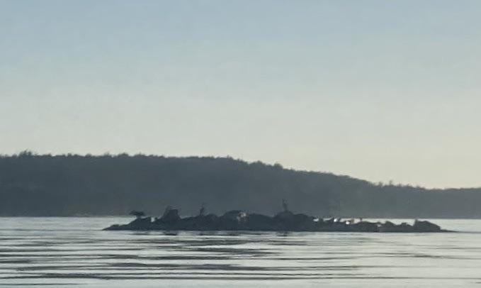 Beware! Parker Reef Beware! Parker Reef