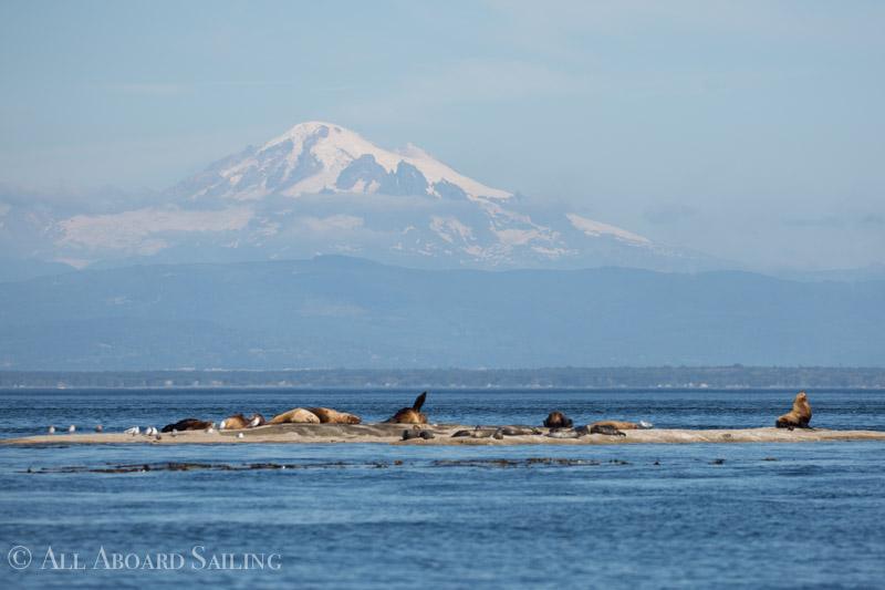Beware! Clements & Danger Reef Beware! Clements & Danger Reef