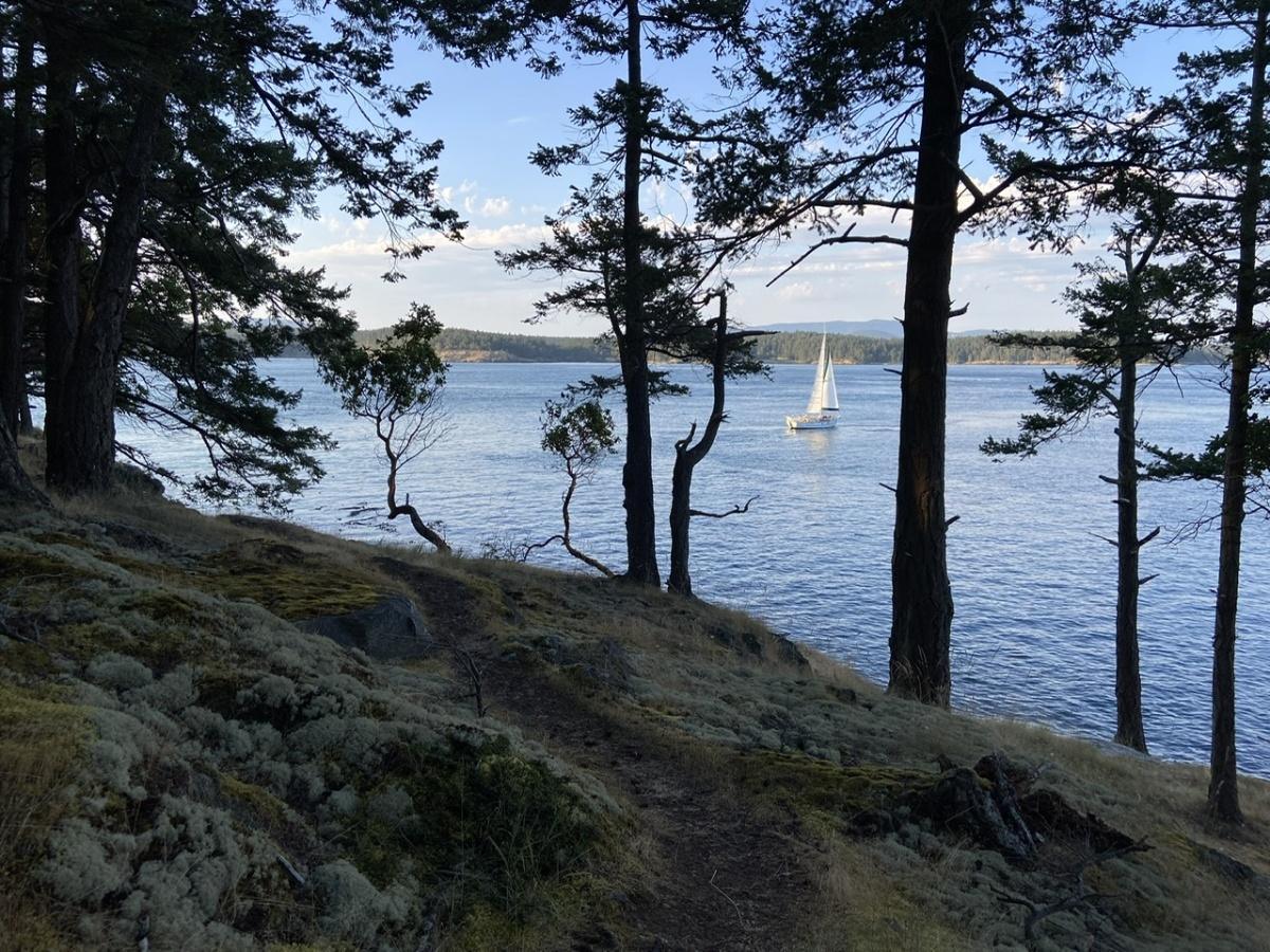 Turn Island