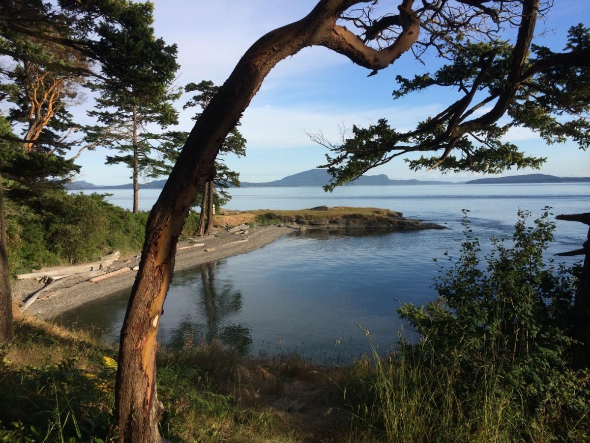 Patos Island