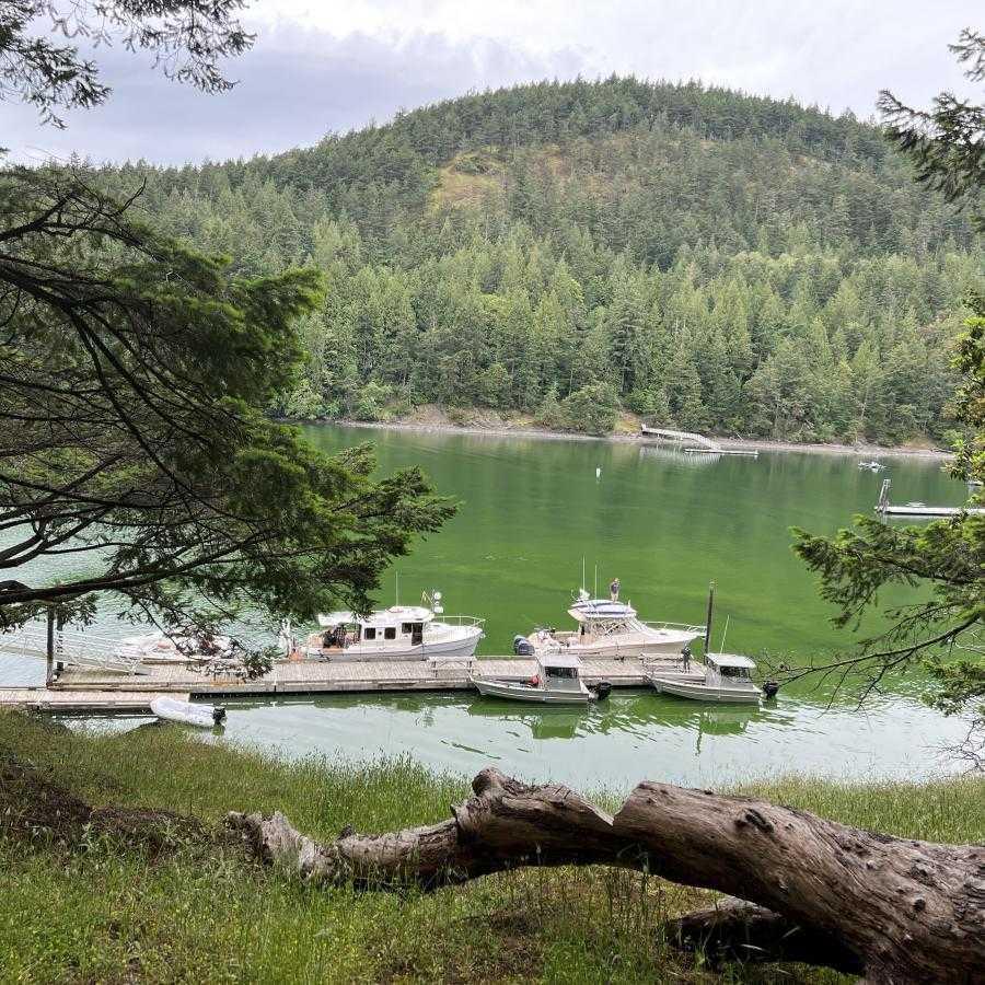 Reid Harbor - Stuart Island