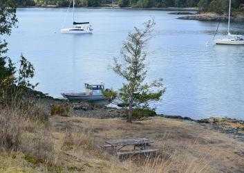 Blind Island