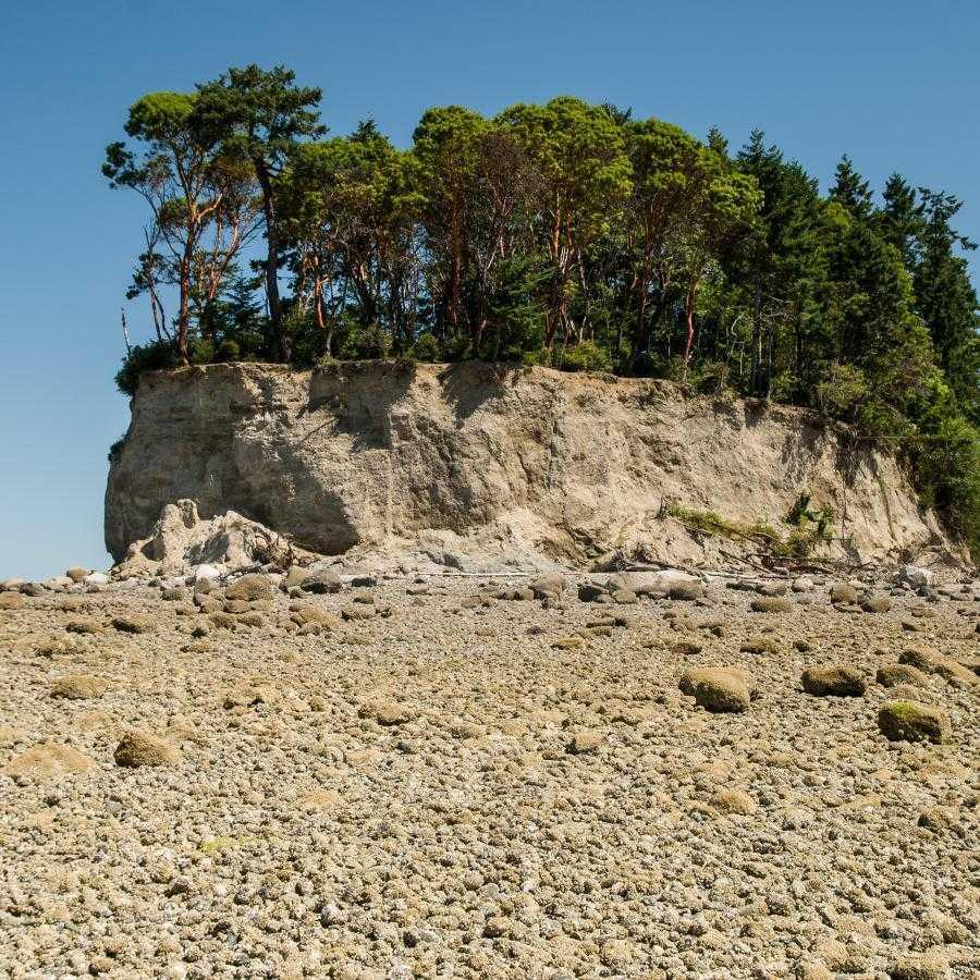 Cutts Island