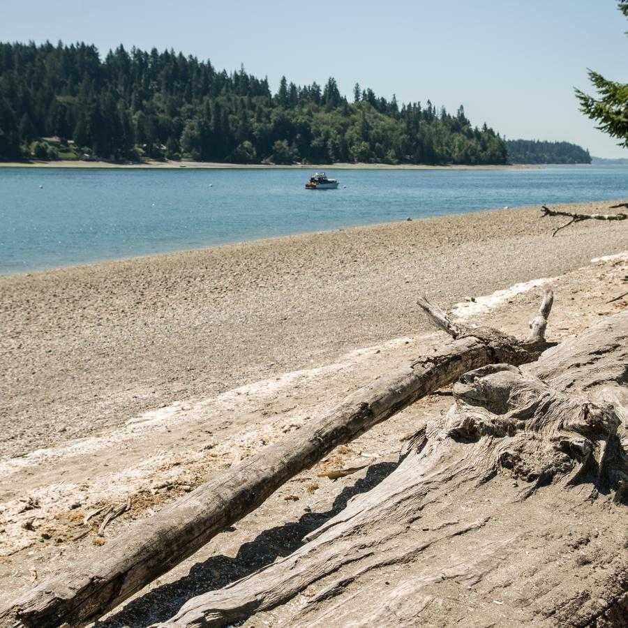 Cutts Island