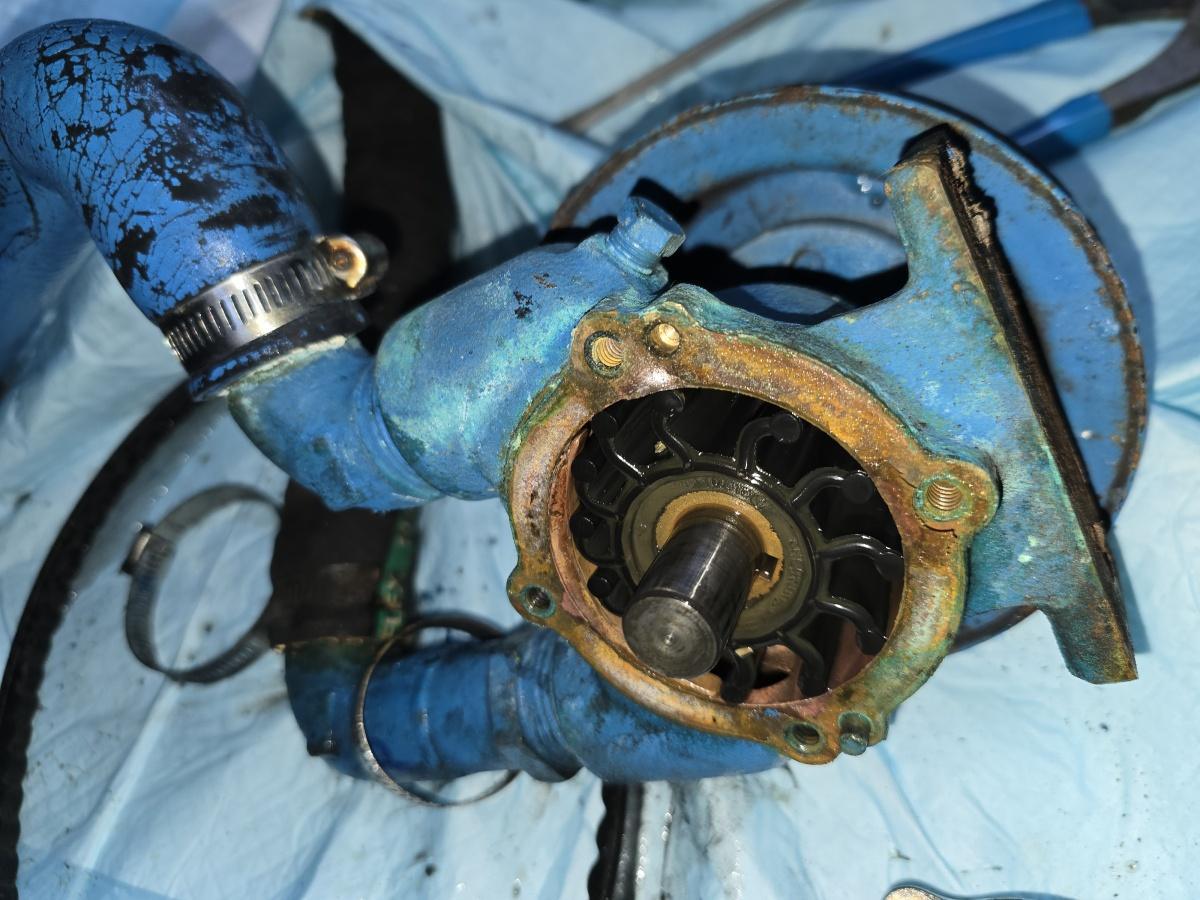 Johnson Marine Specialties