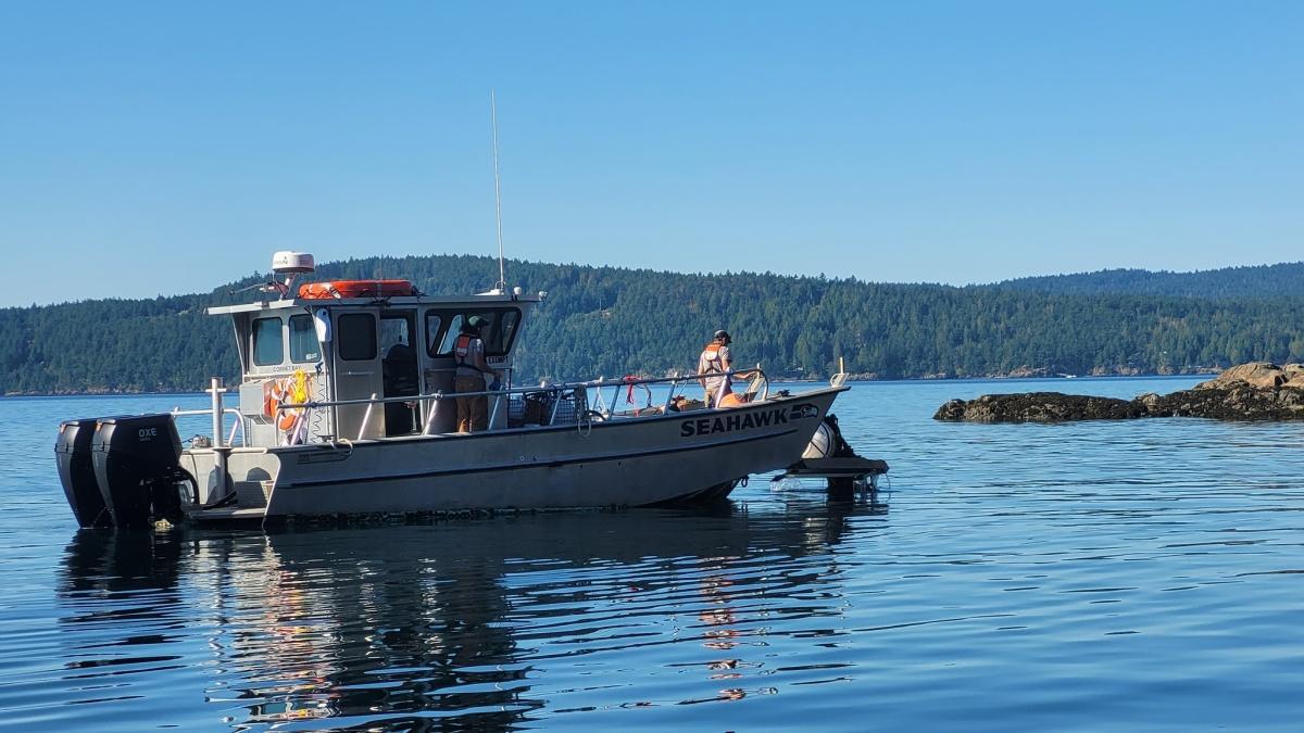 Update: State Park Buoys in the San Juans