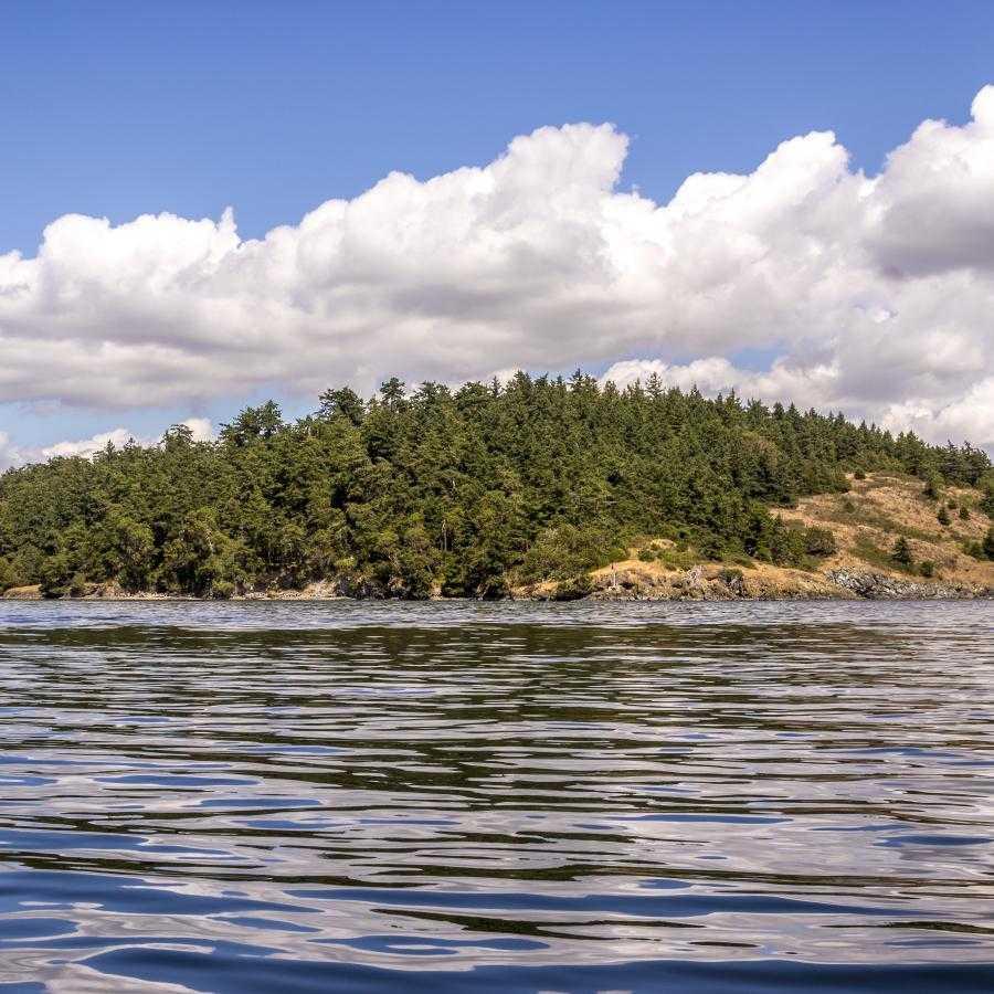 Hope Island (Skagit Co)