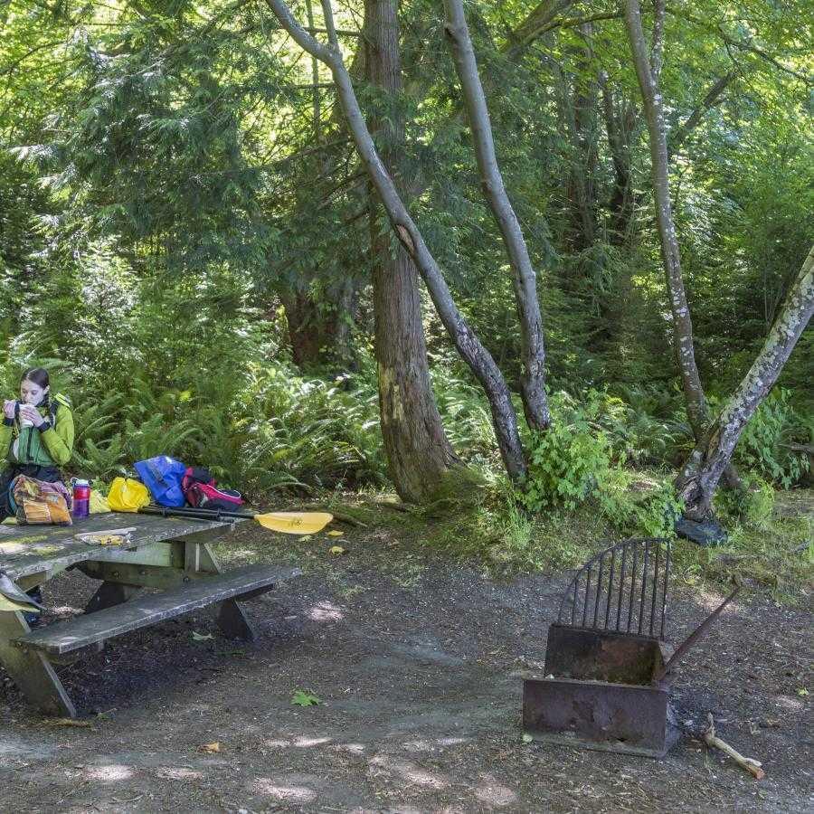 Hope Island (Skagit Co)