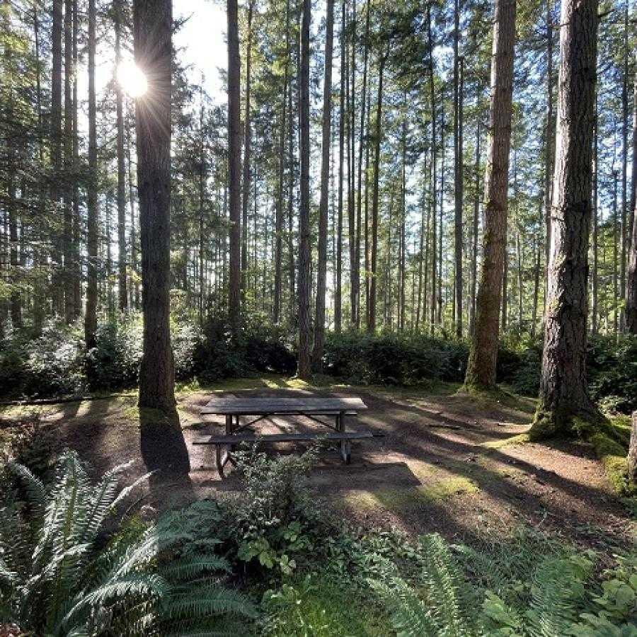 Hope Island (Mason Co)