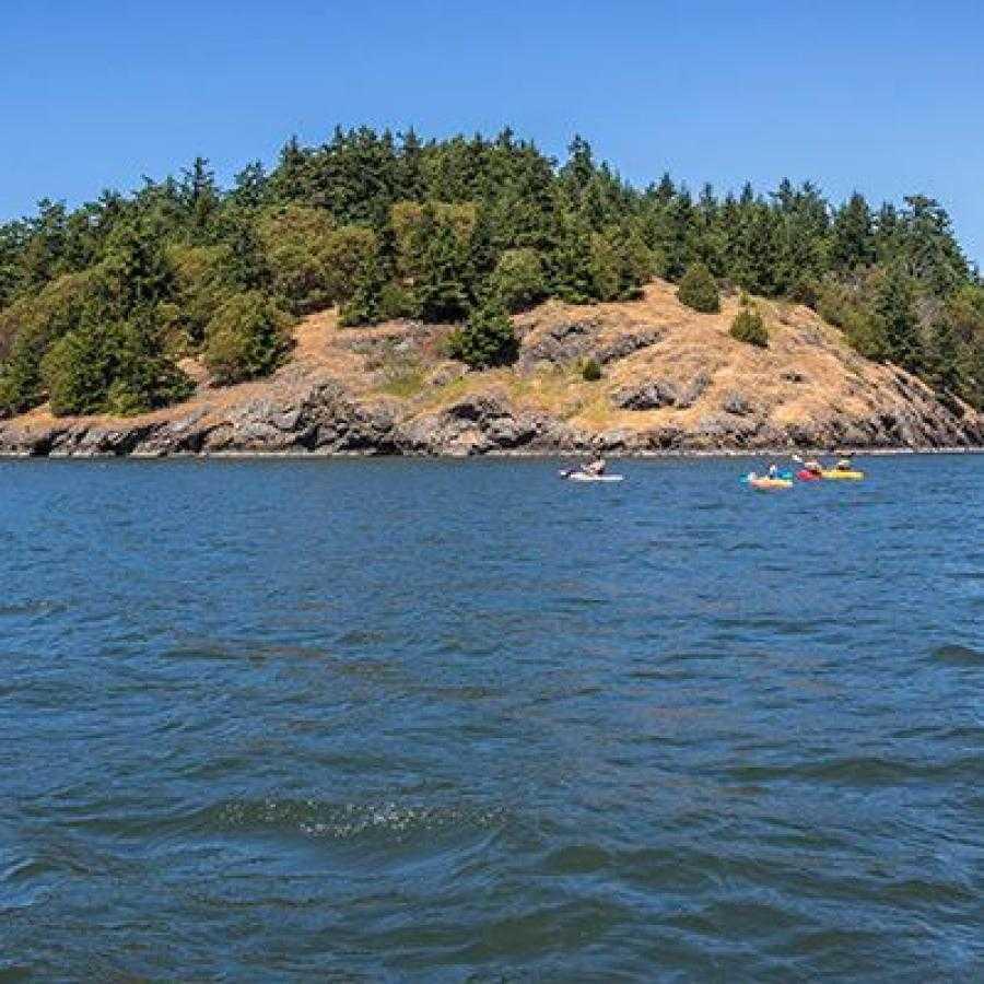 Skagit Island