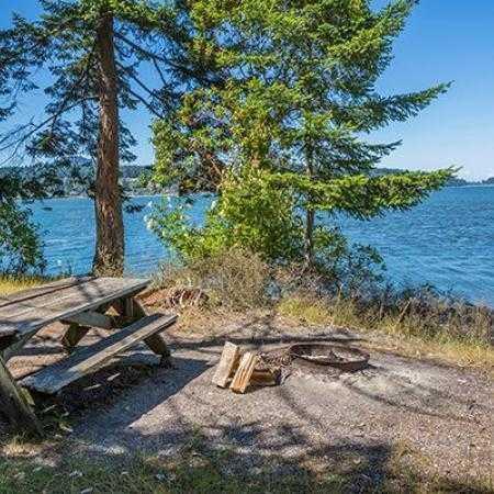 Skagit Island