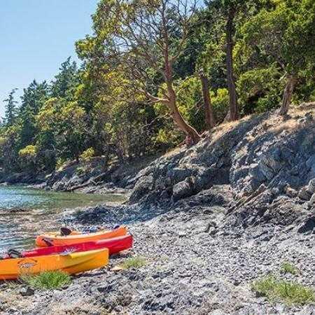 Skagit Island