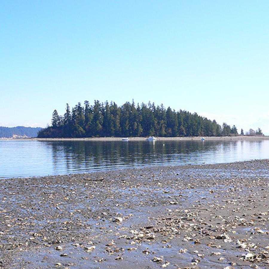 McMicken Island