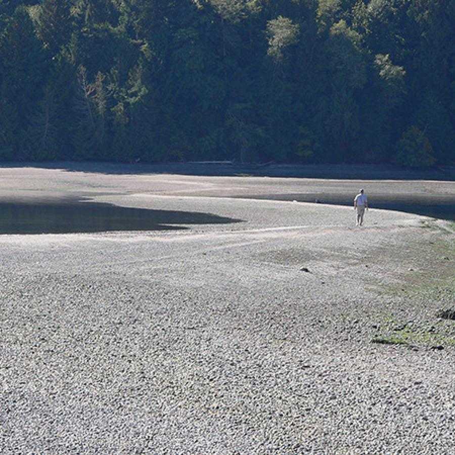 McMicken Island