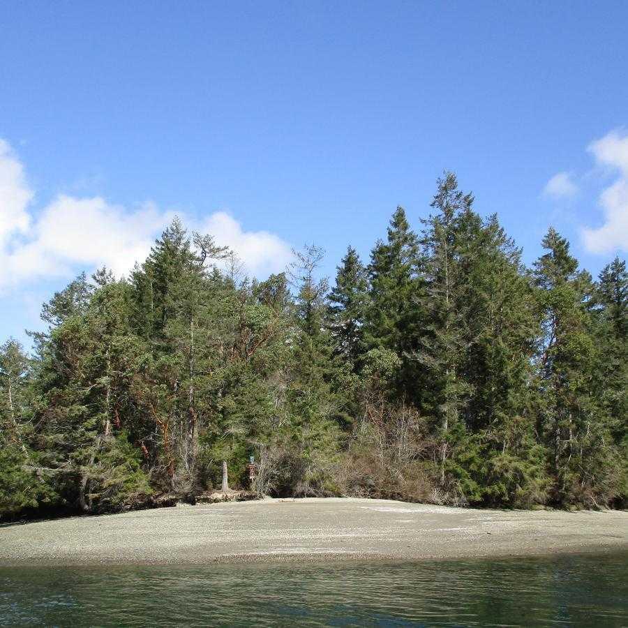 Eagle Island