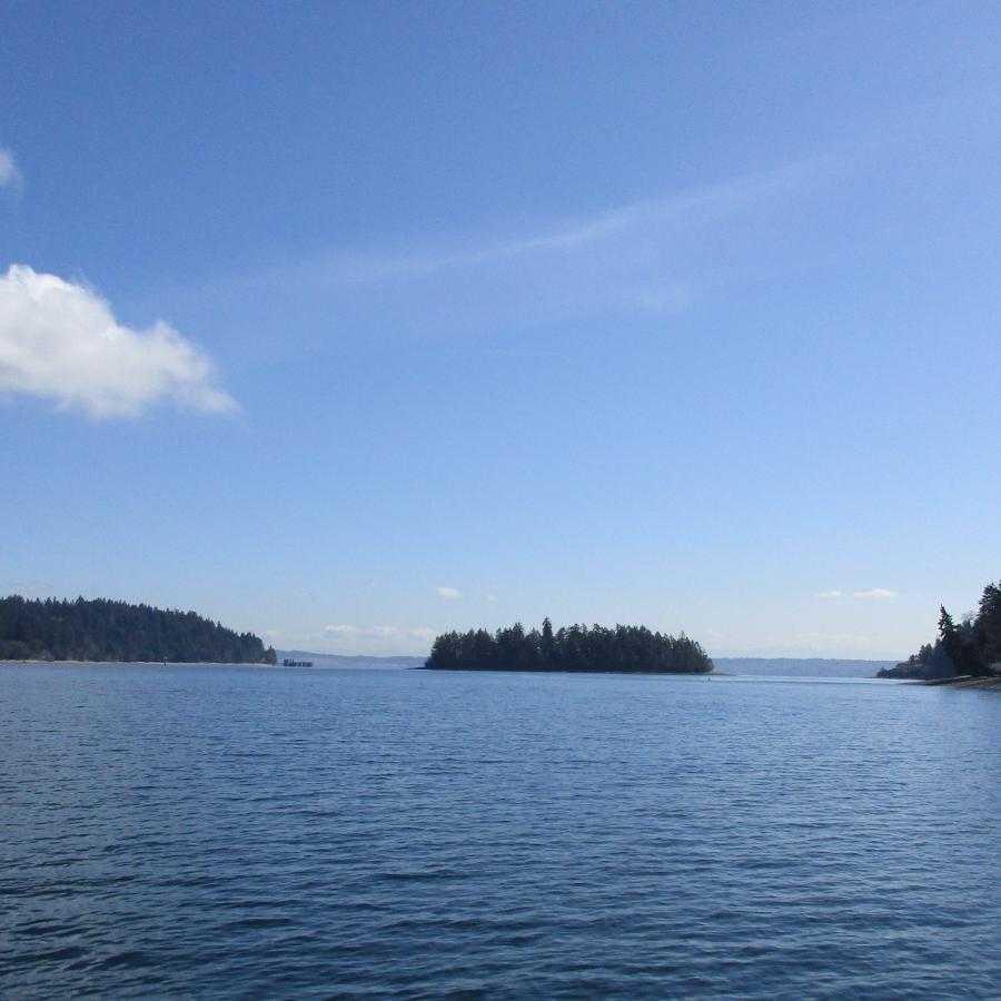 Eagle Island