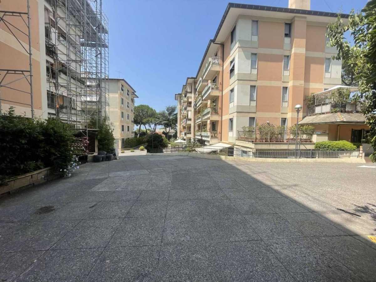 Via Angelo Carrara Via Angelo Carrara