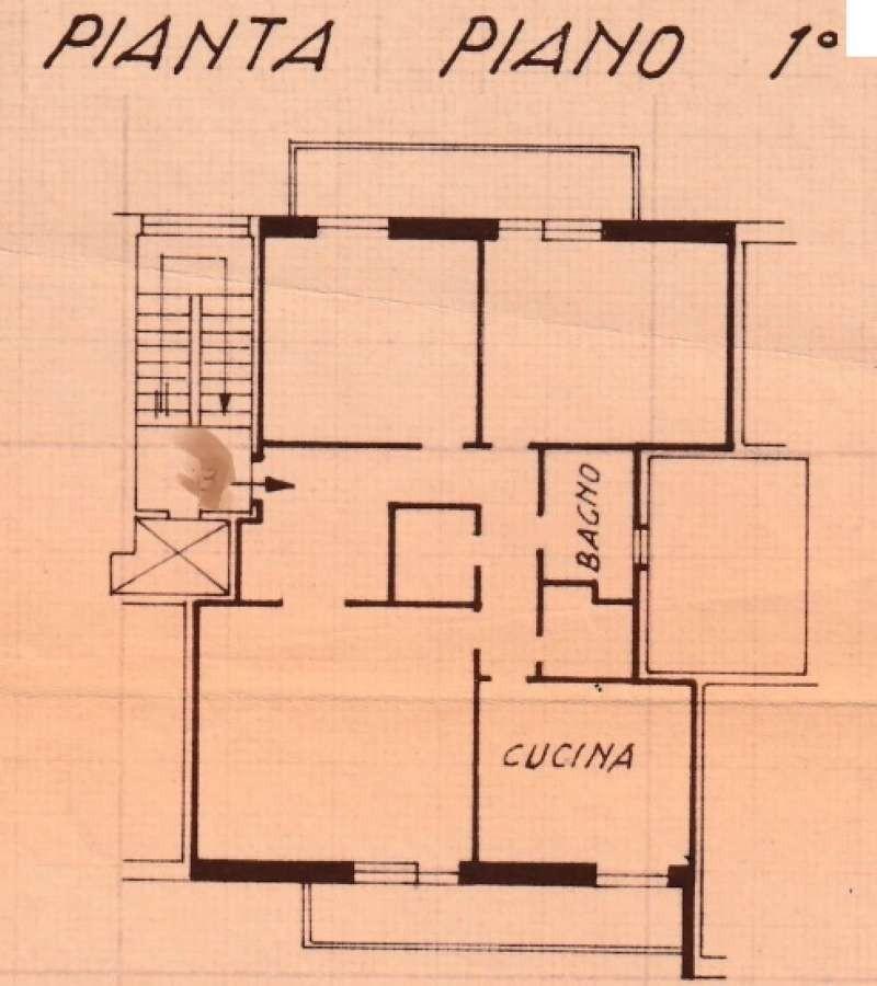 Via Angelo Carrara