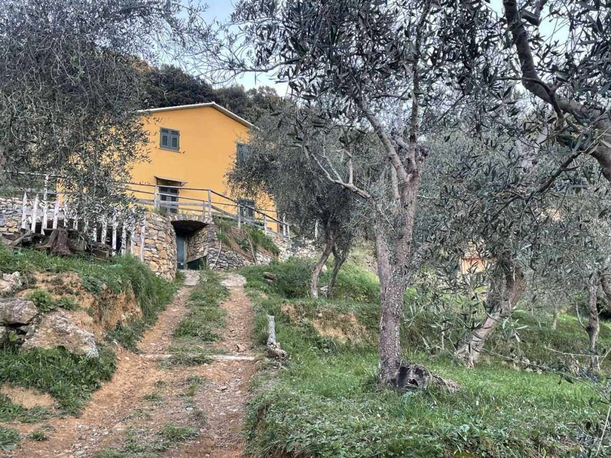Monte Portofino
