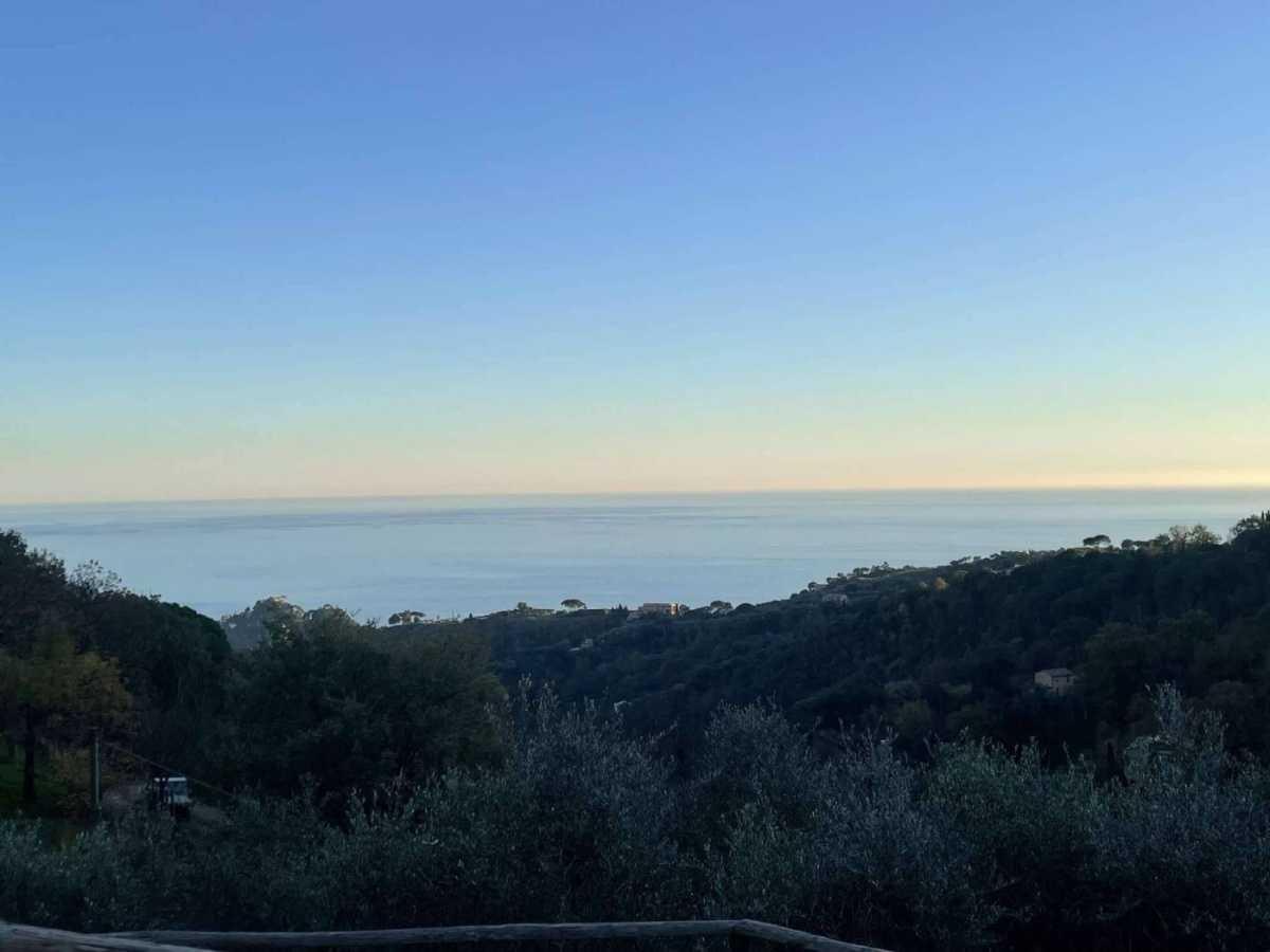 Monte Portofino Monte Portofino