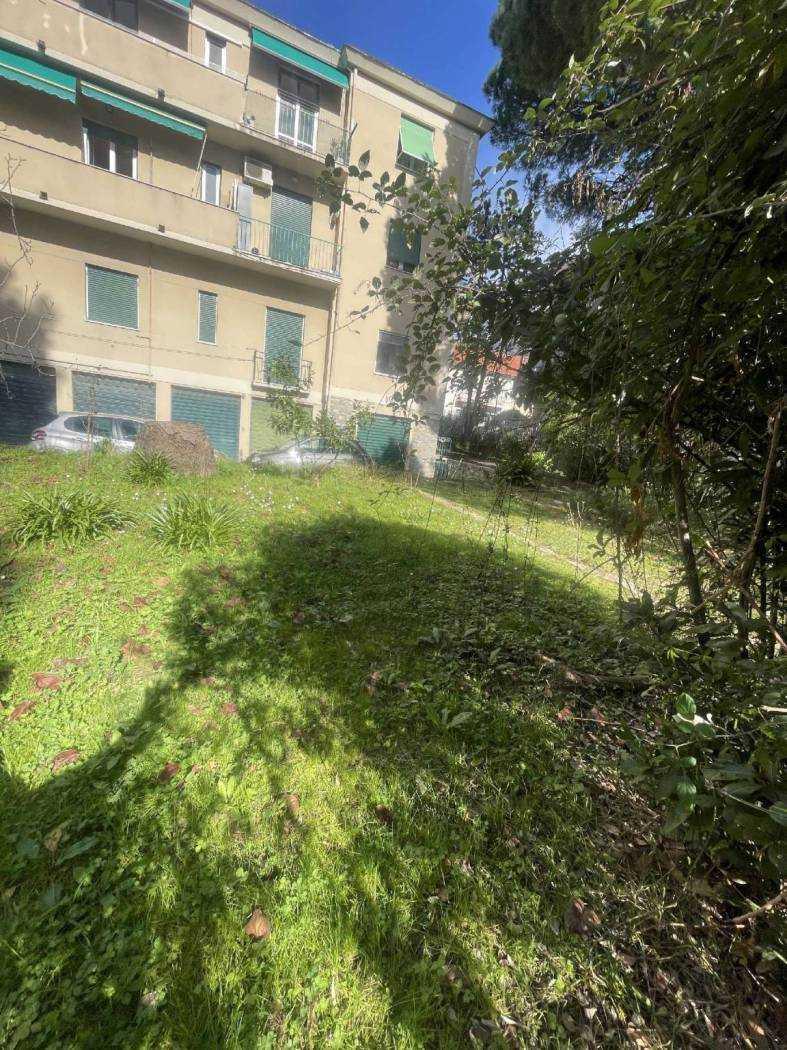 VIALE PRIMAVERA