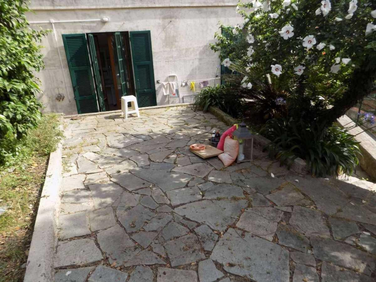 Viale Colle Ulivi