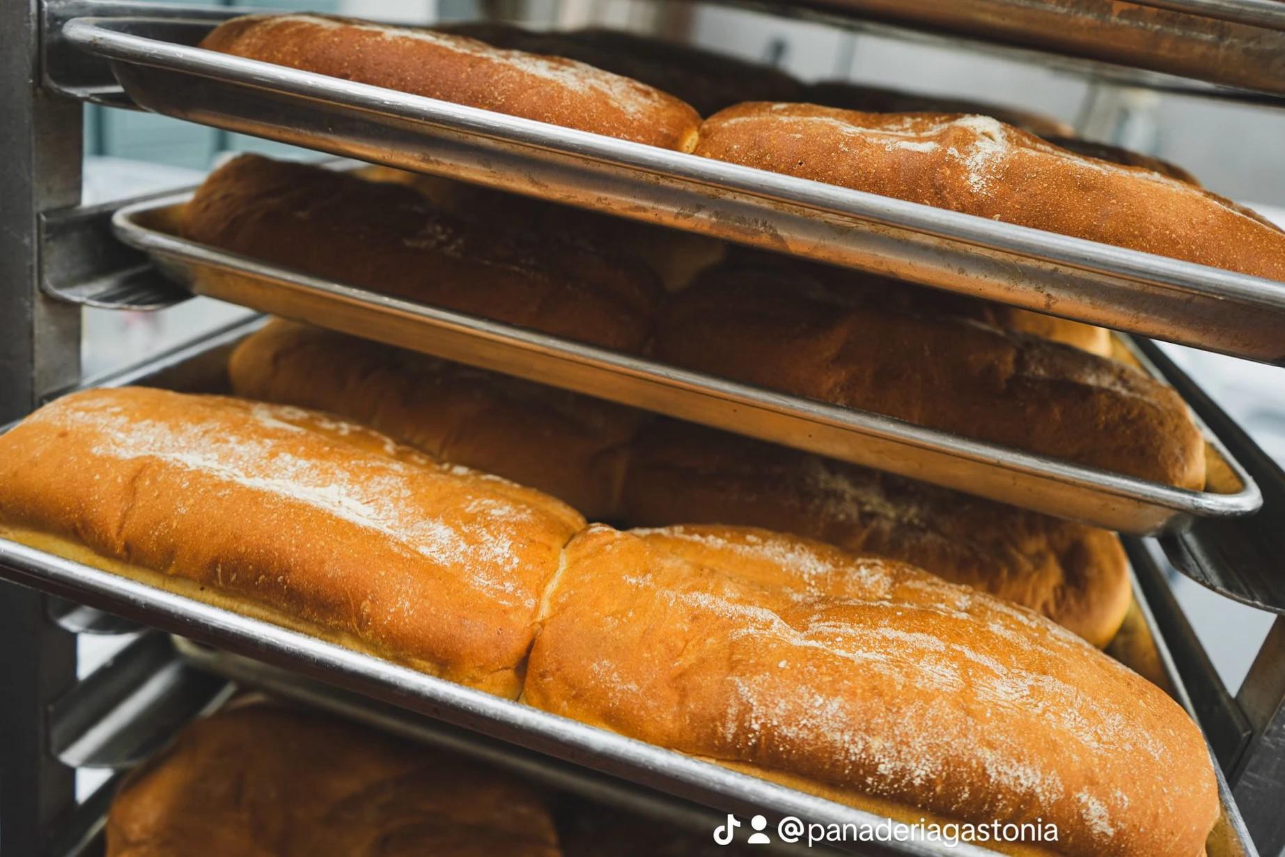 panaderia (12)
