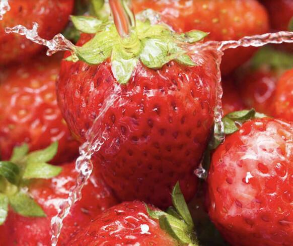 Erdbeeren
