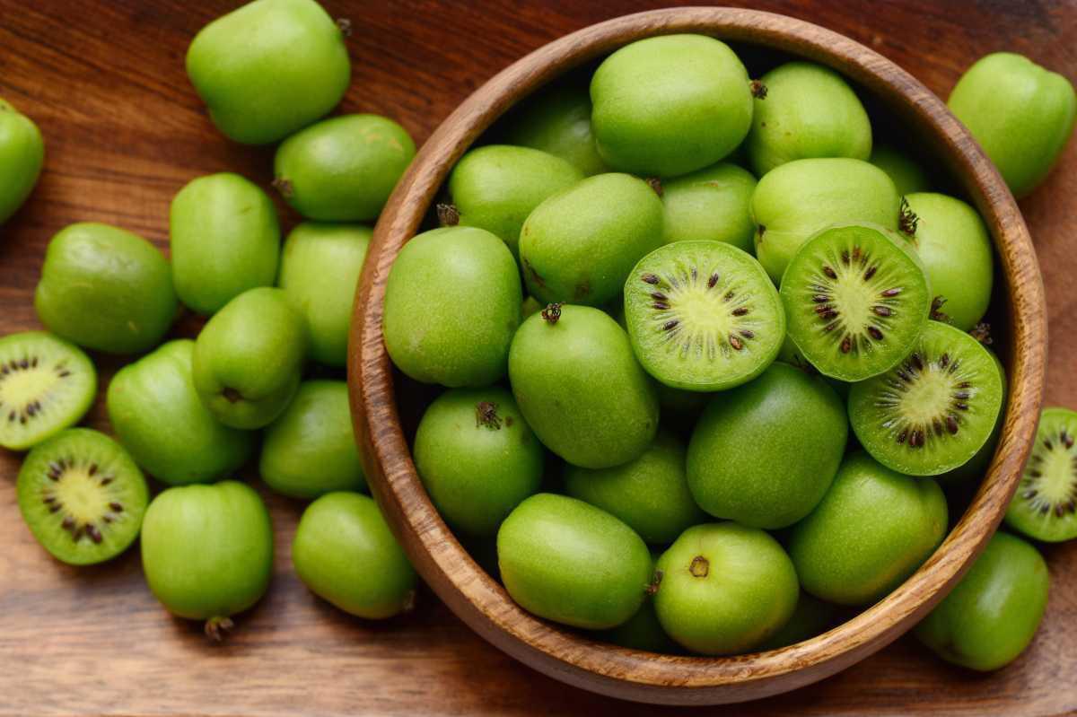 514282 Selbstfruchtende Trauben Kiwi