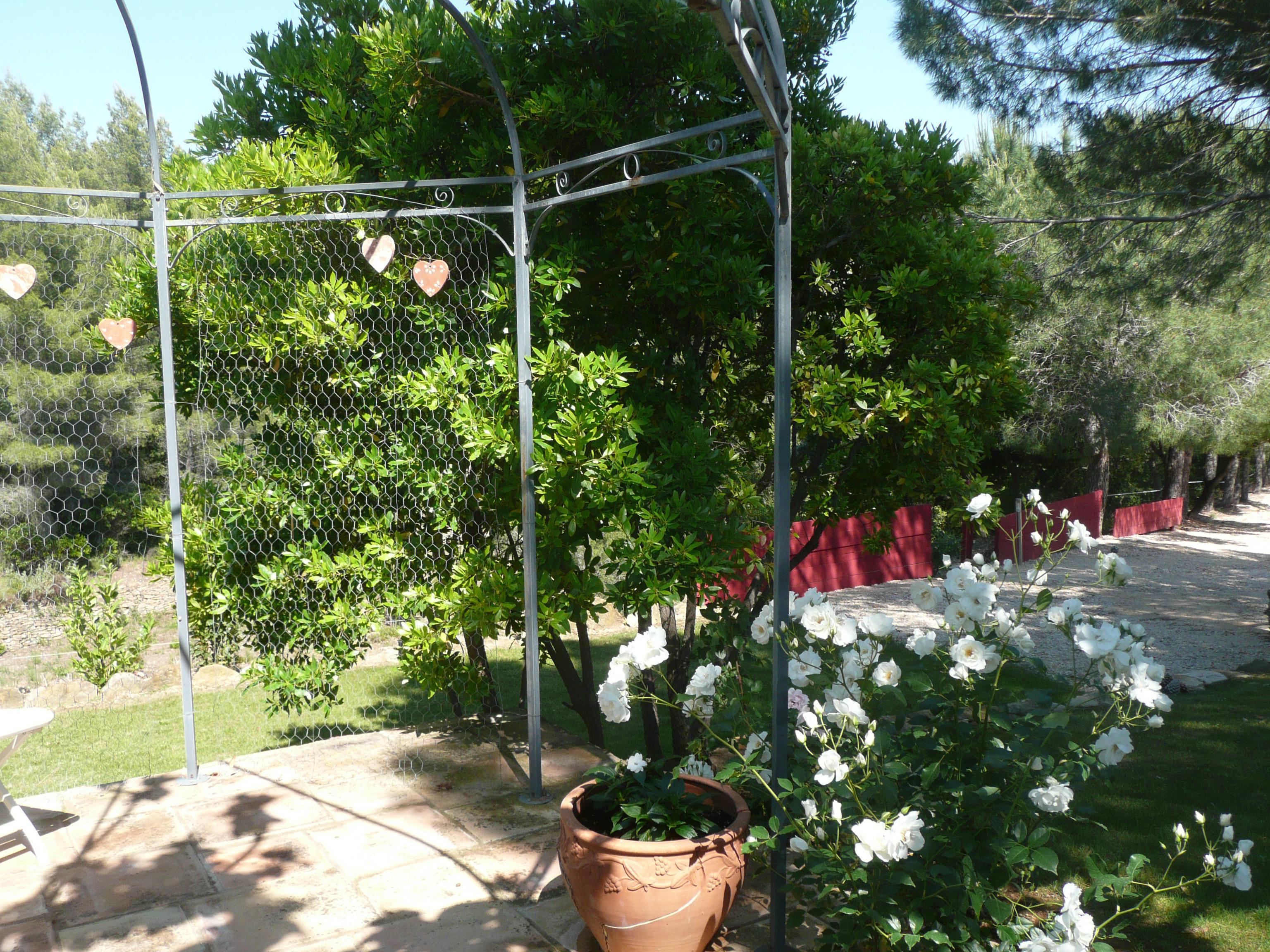 Le jardin