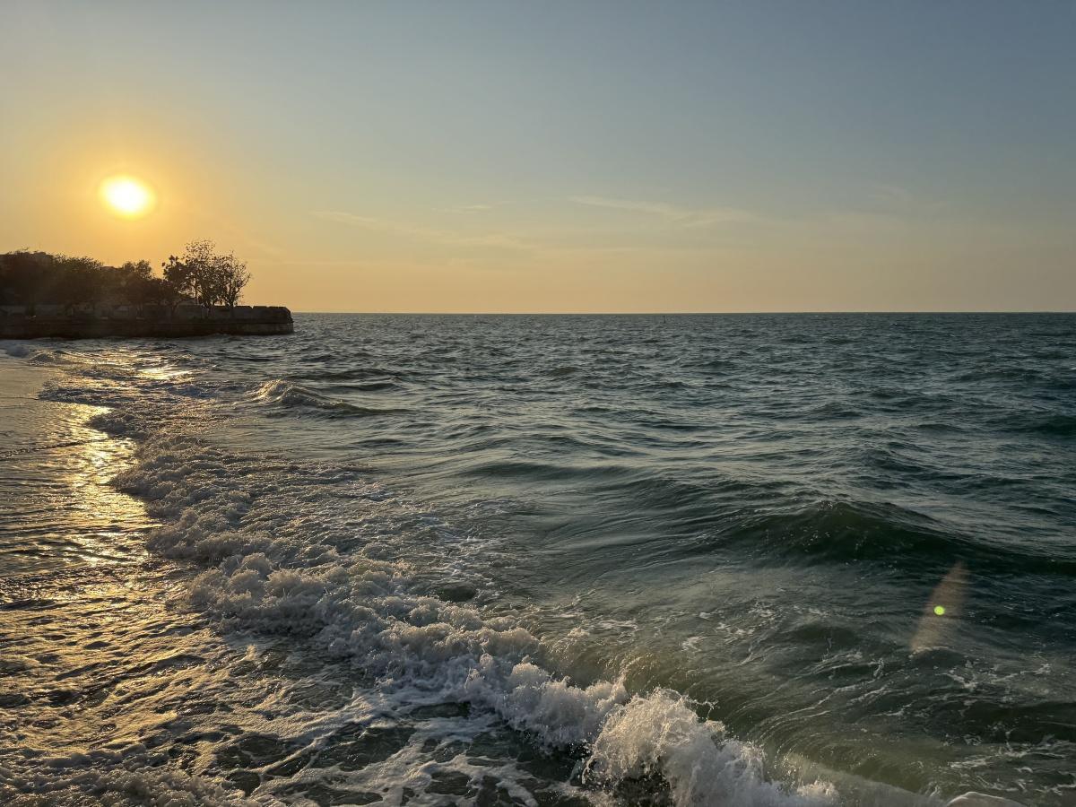 Le sanctuaire de la Vérité Le sanctuaire de la Vérité