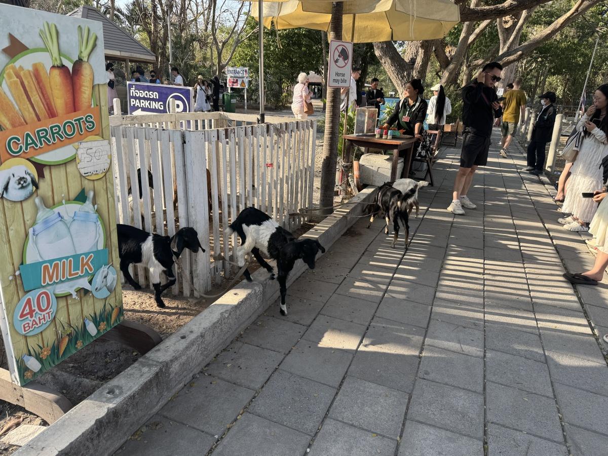 The Sanctuary of Truth The Sanctuary of Truth