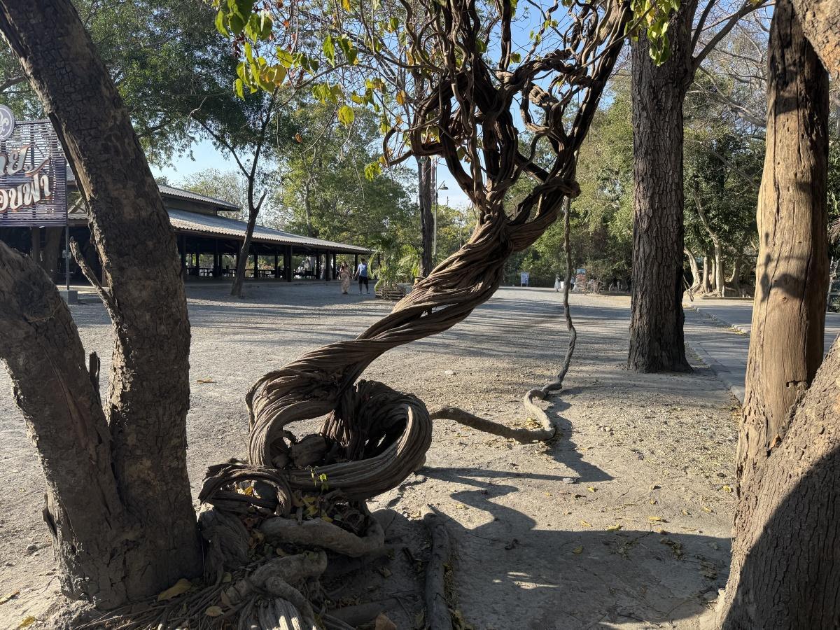 The Sanctuary of Truth The Sanctuary of Truth