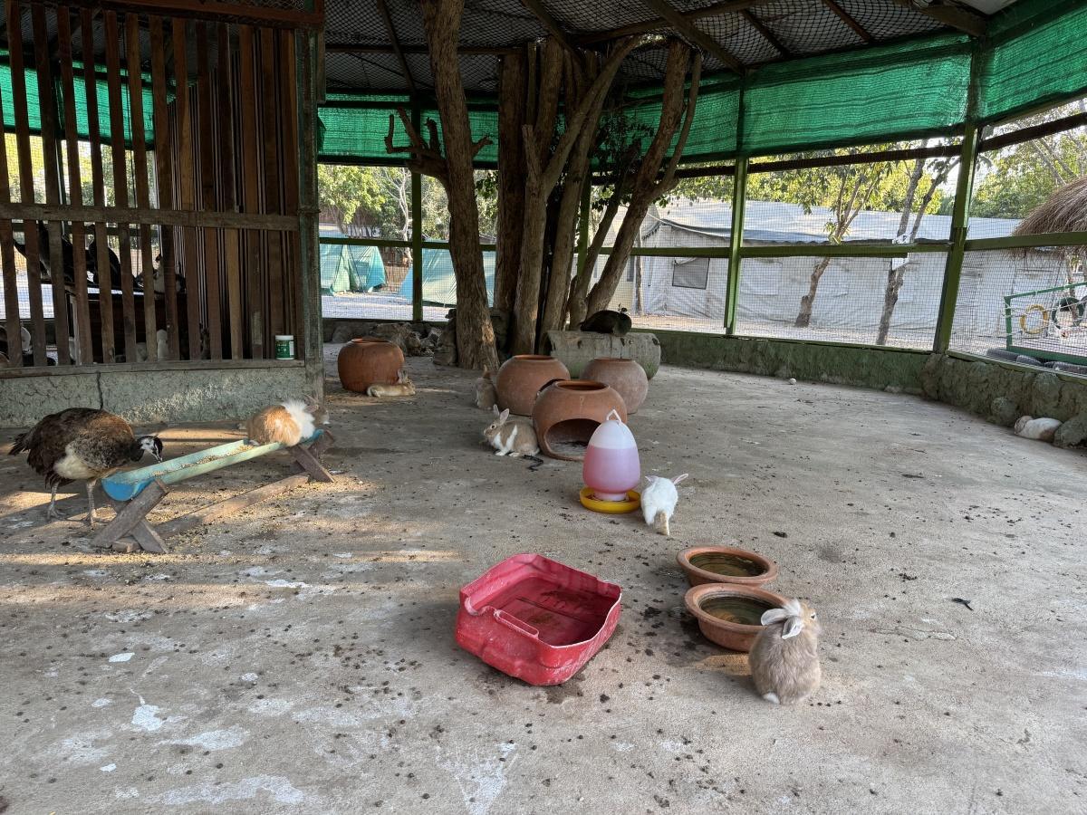 The Sanctuary of Truth The Sanctuary of Truth