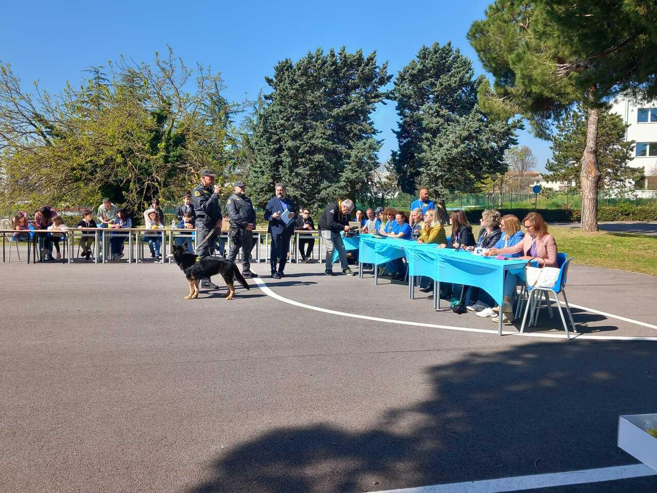 FANCY MENEI - CIELO MARE TERRA