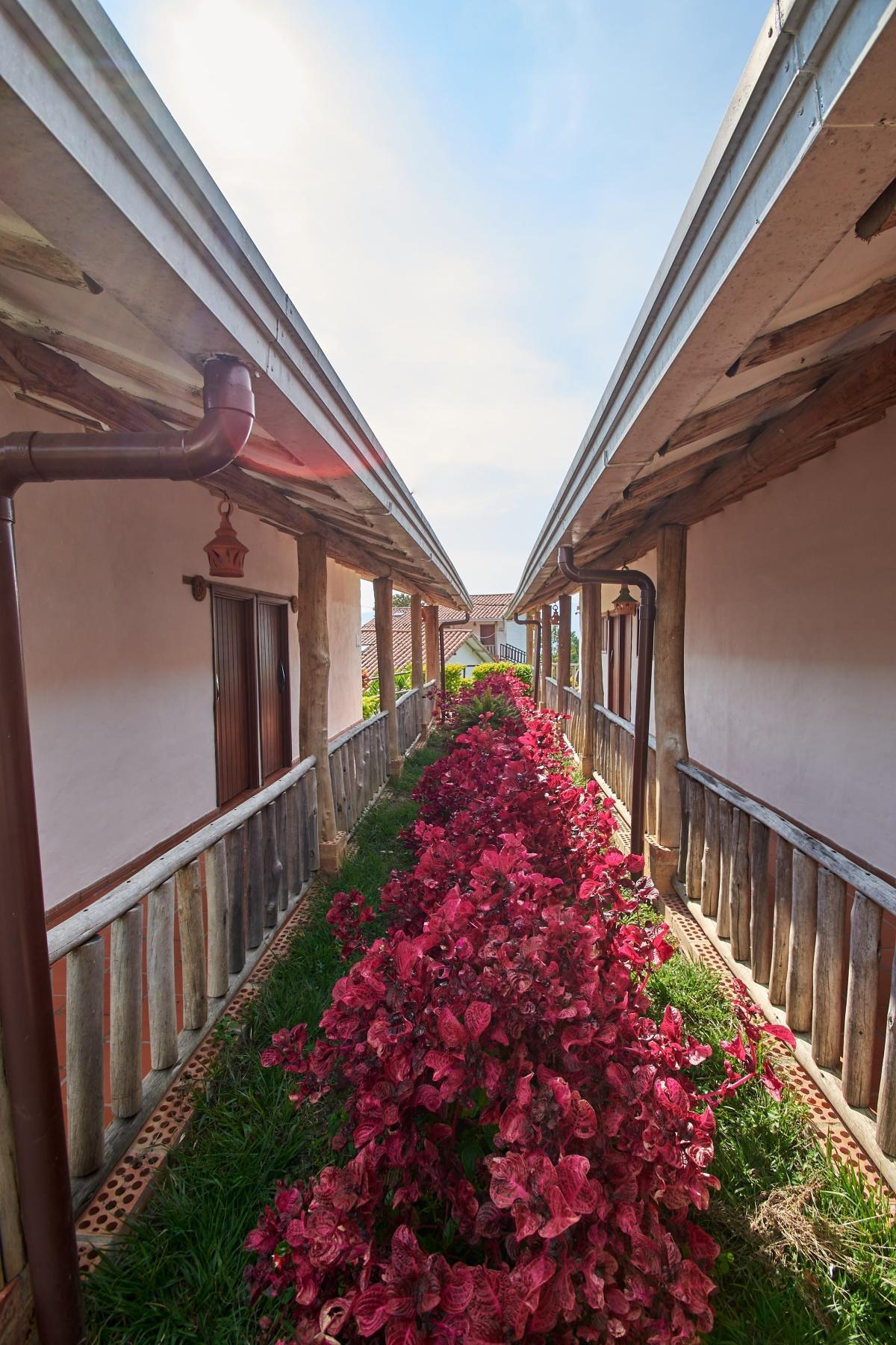 Terrazas de Guadalupe