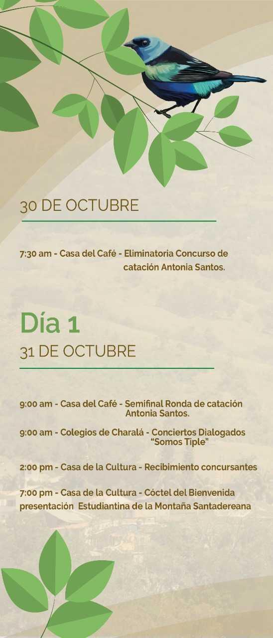 XXIV CONCURSO NACIONAL DE TIPLE
