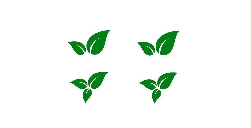 Stasera esporre verde