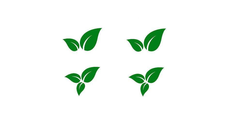 Stasera esporre verde