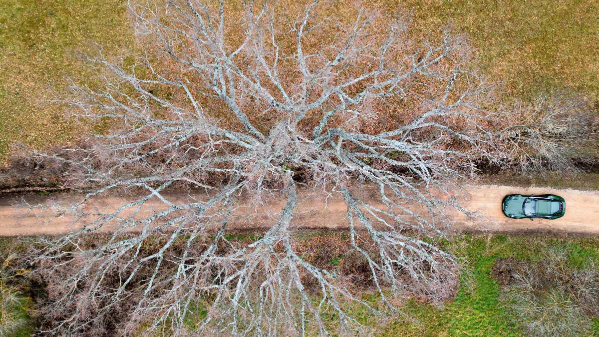 El exclusivo Porsche 911 verde Quercus homenajea a España y Portugal