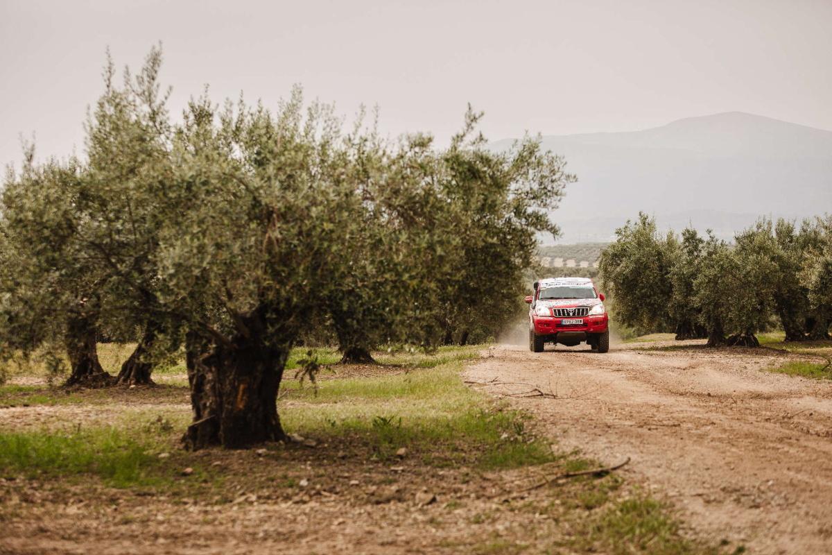 Alberto Dorsch y Marcos Martínez vencen en el Rally TT Jaén Mar de Olivos 2026 Alberto Dorsch y Marcos Martínez vencen en el Rally TT Jaén Mar de Olivos 2026