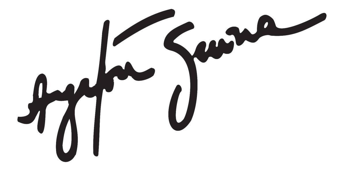 32 años sin Ayrton Senna: el fatídico 1 de mayo de 1994 en Imola