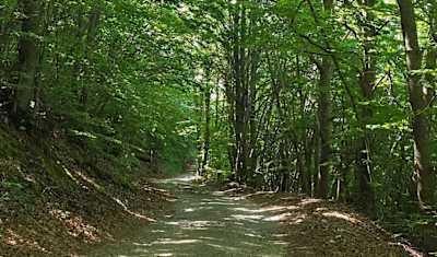 Rally de Roma Capital 2026 › SS5 Vallecupola › 22.50 km Rally de Roma Capital 2026 › SS5 Vallecupola › 22.50 km