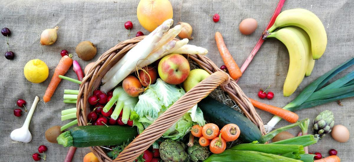 Feed the Brain: How Food, Sleep, and Simple Habits Shape How Kids Think, Learn, and Feel