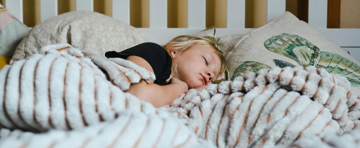 Feed the Brain: How Food, Sleep, and Simple Habits Shape How Kids Think, Learn, and Feel Feed the Brain: How Food, Sleep, and Simple Habits Shape How Kids Think, Learn, and Feel