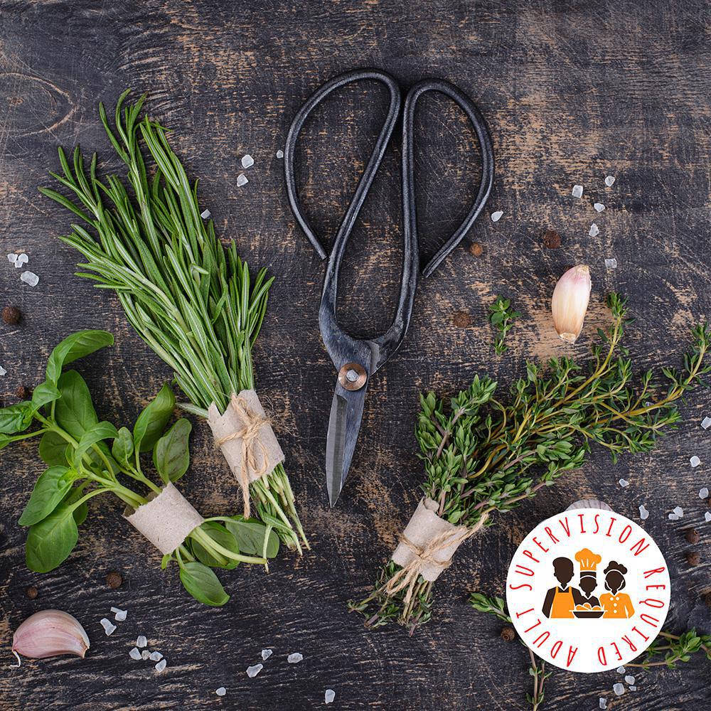 Kitchen Scissors (For Grown-ups!)