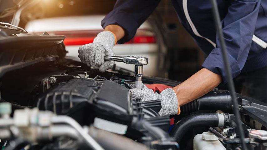 Services