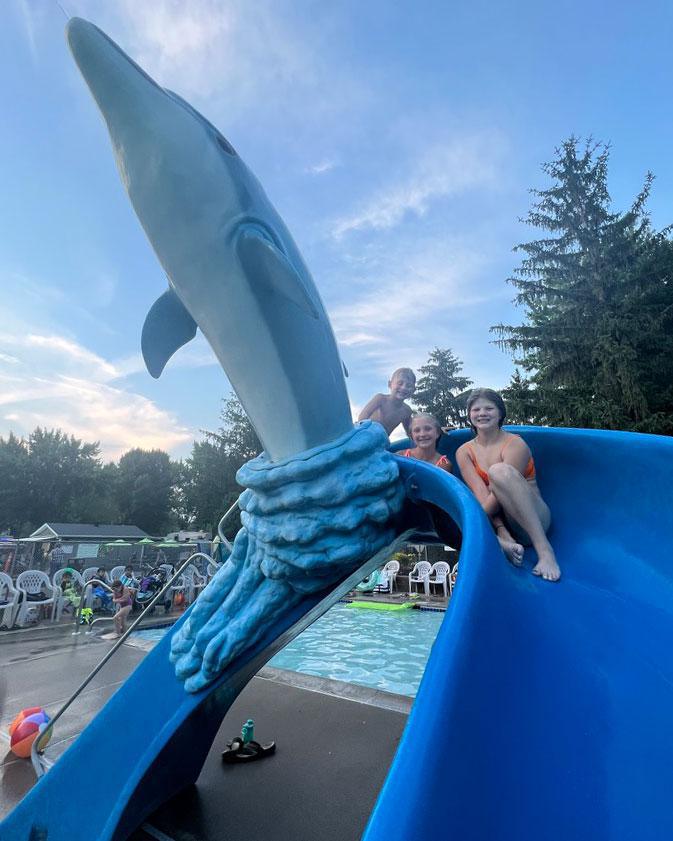 Dolphin Water Slide