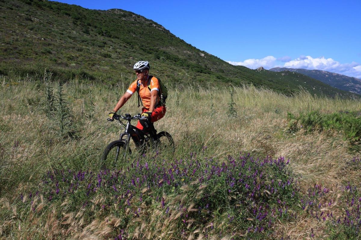 Vélo, cyclisme, VTT