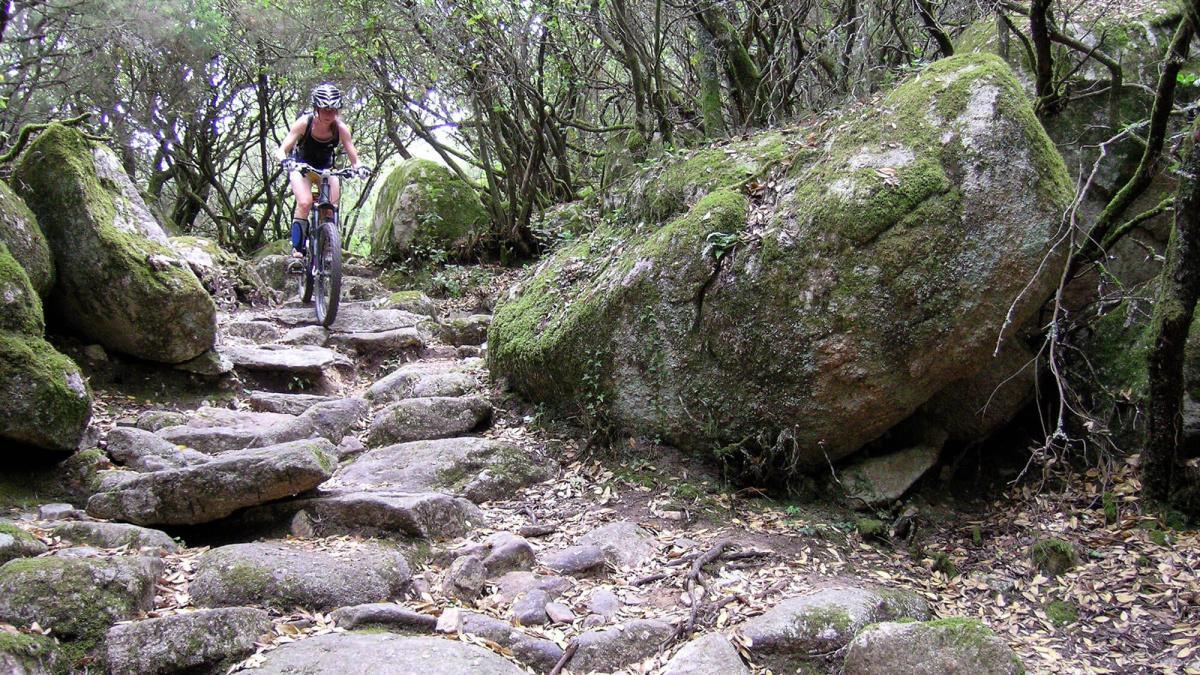 Vélo, cyclisme, VTT